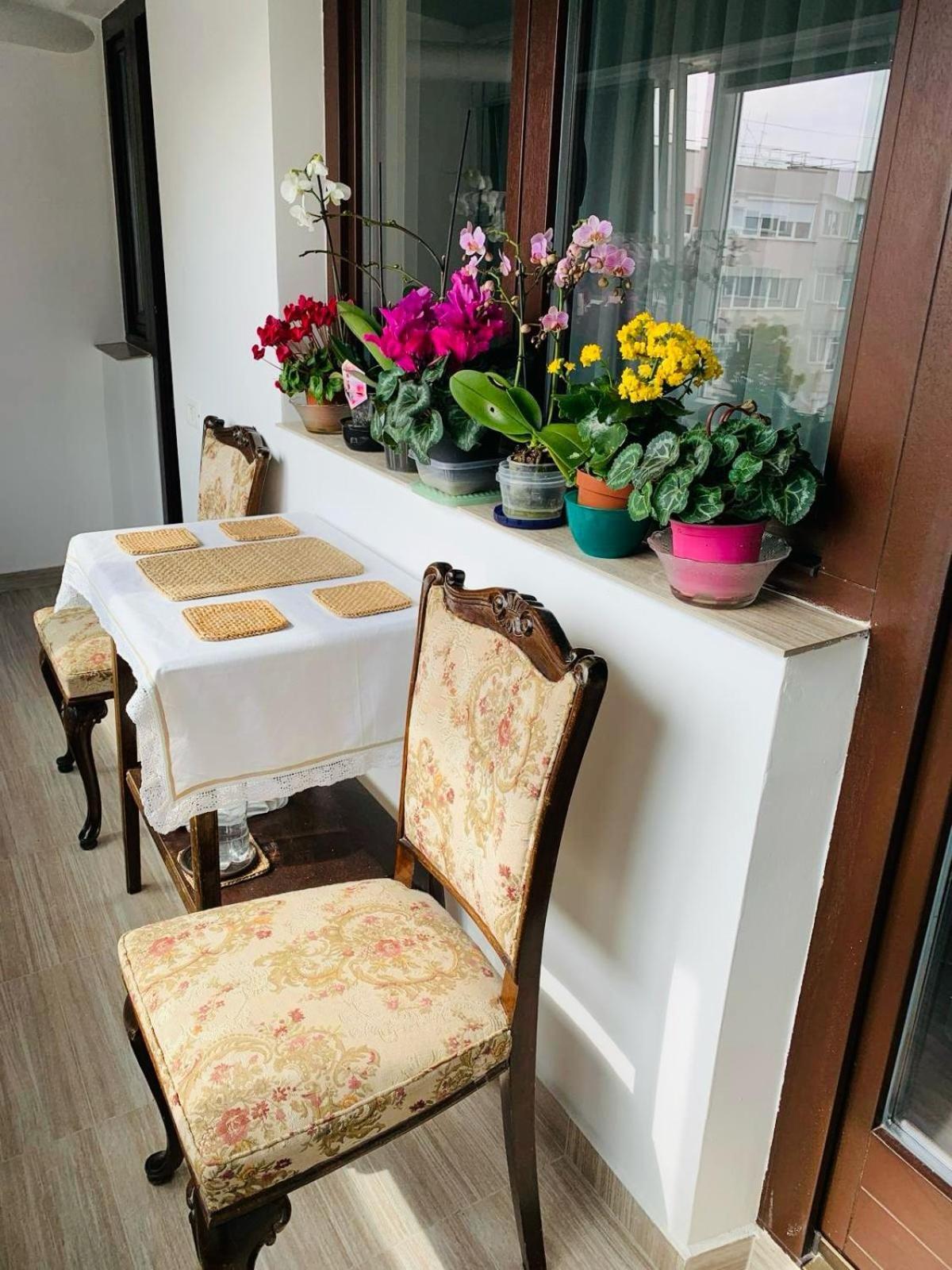 Sofiart Apartment بوخارست المظهر الخارجي الصورة